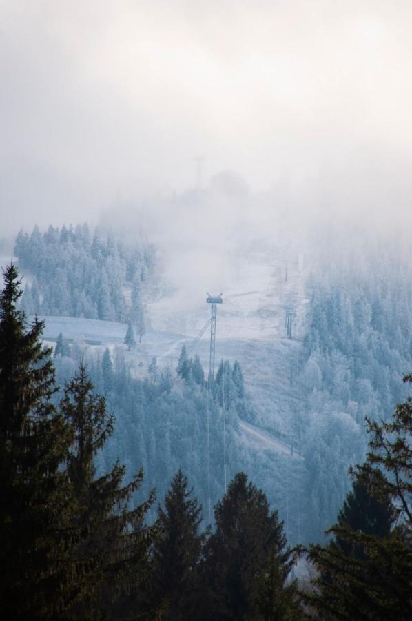 Silver Mountain B12 Poiana Brasov Eksteriør bilde